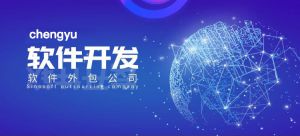2020中國(guó)軟件行業(yè)發(fā)展現(xiàn)狀以及趨勢(shì)